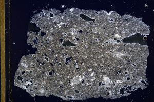 Cross Polarized, E13406