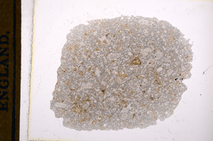 Plane Polarized, E13407