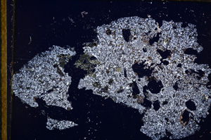 Cross Polarized, E13411