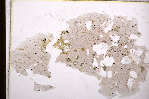 Plane Polarized, E13411