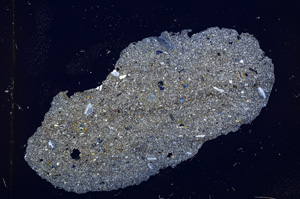 Cross Polarized, E13413