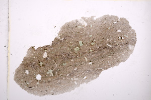 Plane Polarized, E13413