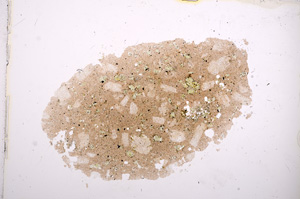 Plane Polarized, E13414