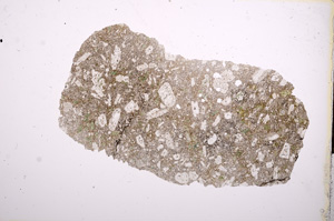 Plane Polarized, E13417