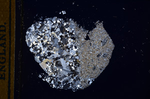 Cross Polarized, E13419