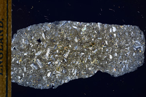 Cross Polarized, E13421