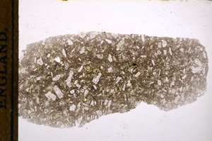 Plane Polarized, E13421