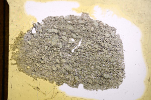 Plane Polarized, E13455