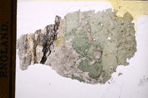 Plane Polarized, E13456