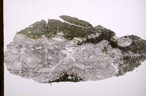 Plane Polarized, E13470