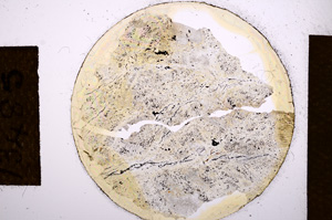 Plane Polarized, E13485