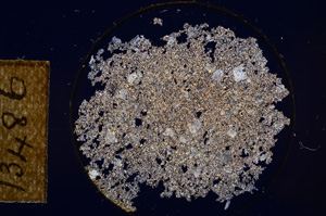 Cross Polarized, E13486