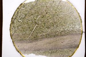 Plane Polarized, E13488