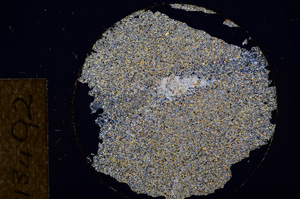 Cross Polarized, E13492