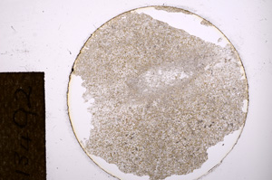 Plane Polarized, E13492