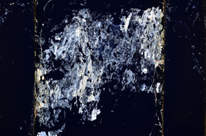 Cross Polarized, E13495