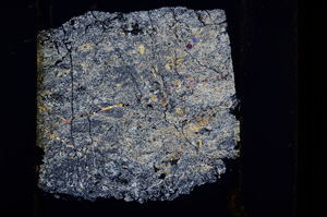 Cross Polarized, E13498