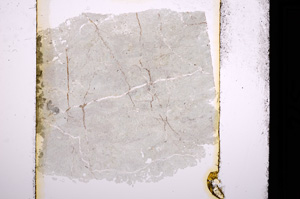 Plane Polarized, E13498