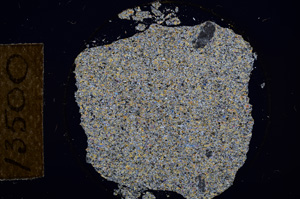 Cross Polarized, E13500