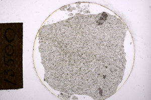 Plane Polarized, E13500