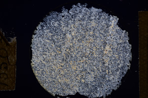 Cross Polarized, E13503