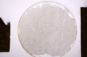 Plane Polarized, E13503