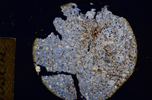 Cross Polarized, E13504