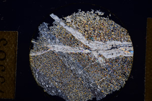 Cross Polarized, E13505