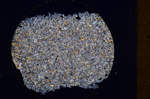 Cross Polarized, E13506