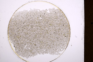 Plane Polarized, E13506