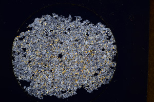 Cross Polarized, E13507