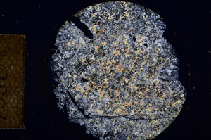 Cross Polarized, E13508