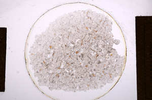 Plane Polarized, E13509