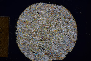 Cross Polarized, E13510