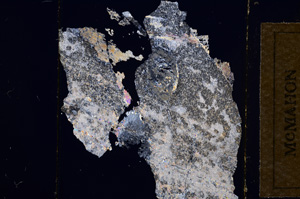 Cross Polarized, E13521