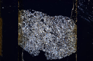 Cross Polarized, E13535