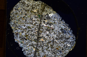 Cross Polarized, E13537