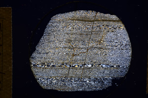 Cross Polarized, E13542