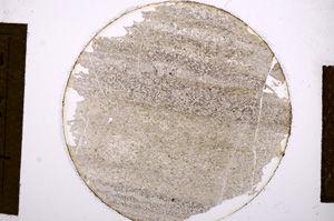 Plane Polarized, E13547