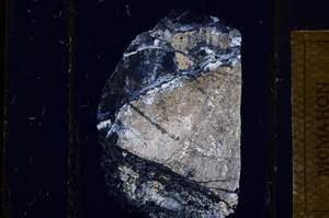 Cross Polarized, E13553
