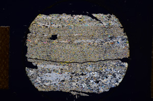 Cross Polarized, E13561