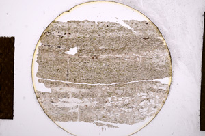 Plane Polarized, E13561