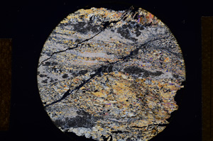 Cross Polarized, E13564
