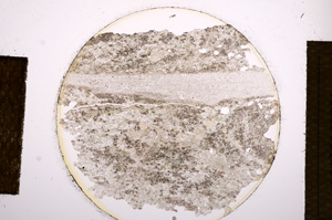 Plane Polarized, E13568