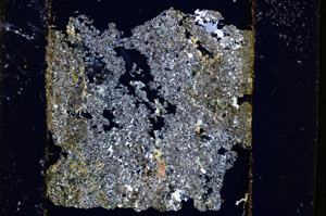 Cross Polarized, E13573