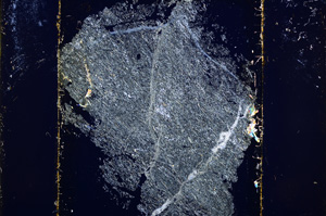 Cross Polarized, E13574