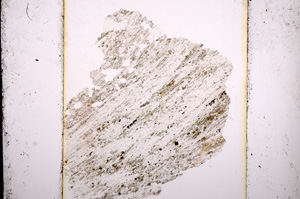 Plane Polarized, E13577