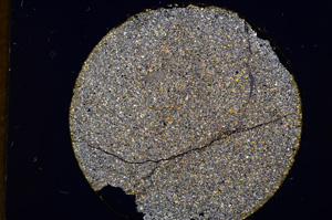 Cross Polarized, E13593