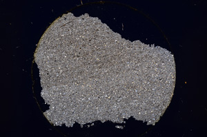 Cross Polarized, E13594