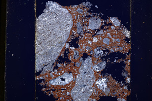 Cross Polarized, E13596